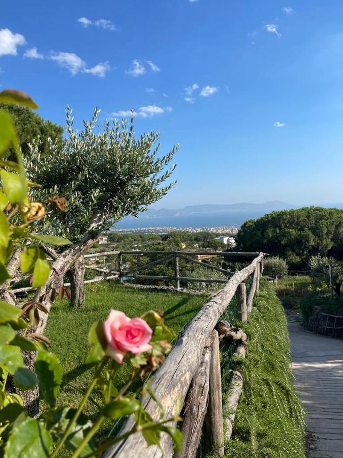 B&B Sunset 埃尔科拉诺 外观 照片